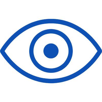 icon best-in-class visuals; Vrgineers